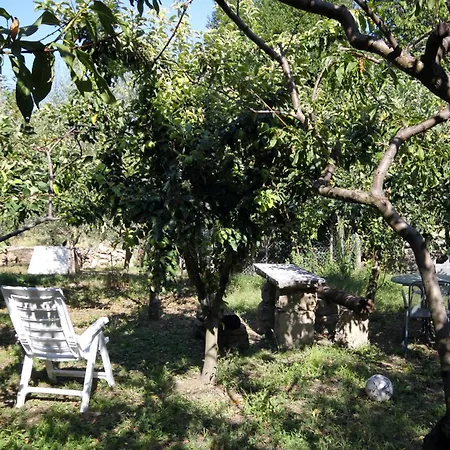 Apartments With Wifi Groznjan, Central Istria - Sredisnja Istra - 7038