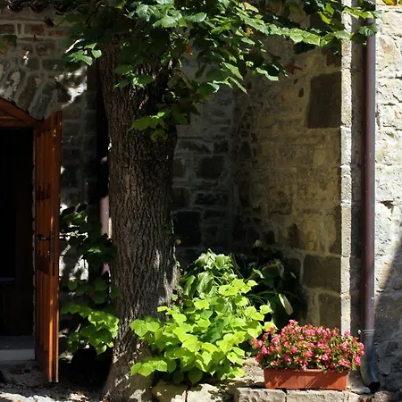 Apartments With Wifi Groznjan, Central Istria - Sredisnja Istra - 7038 Apartment Groznjan